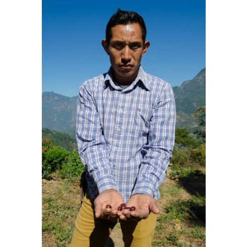 GUATEMALA Specialty szemes kávé -250 GR