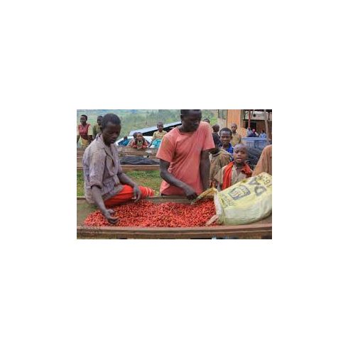 Burundi Shembati szemes kávé 300 gr