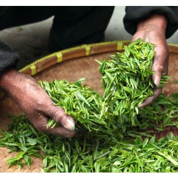 Natúr zöld tea