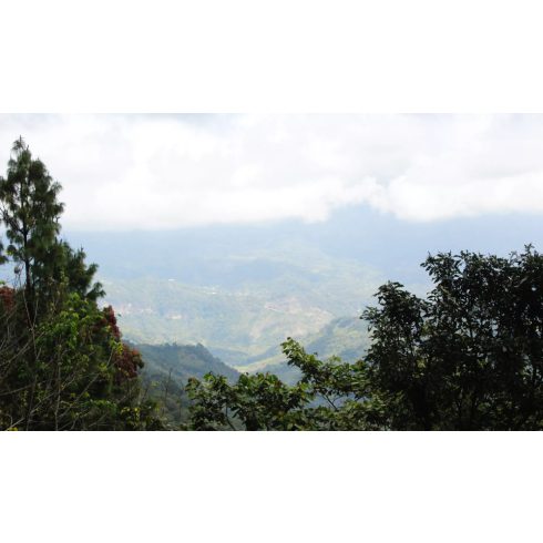 Mexico Chiapas koffeinmentes szemes kávé 500 gr