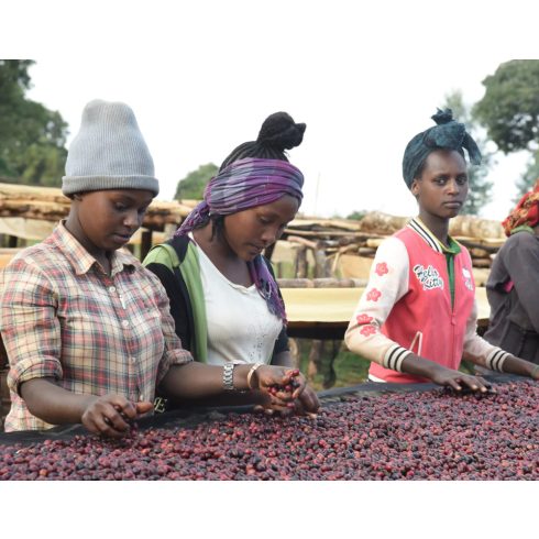 Ethiopia Guji Organic szemes kávé 300 gr