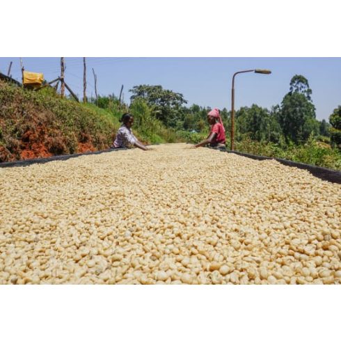 KENYA Kirinyaga Specialty szemes kávé  250 gr