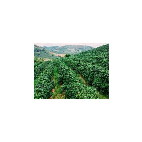 LA MOCCA Classic 2dbos kávéválogatás