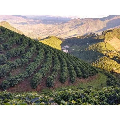 LA MOCCA Classic 2dbos kávéválogatás