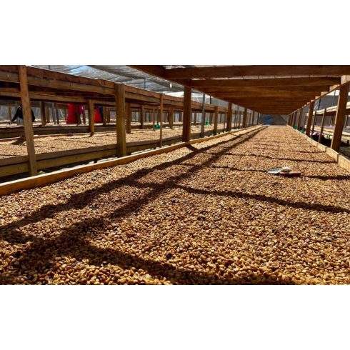 LA MOCCA Specialty szemes kávé válogatás 