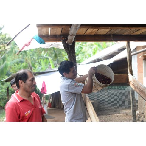 Peru Jaen Cajamarca szemes kávé   300 gr