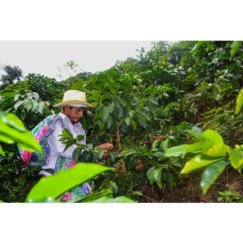 SPIRIT Peru /Columbia szemes kávé 300 gr